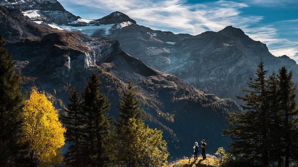 탈모약 보험 적용 시 가격 비교 TOP 5 (2026년 최신 가이드)