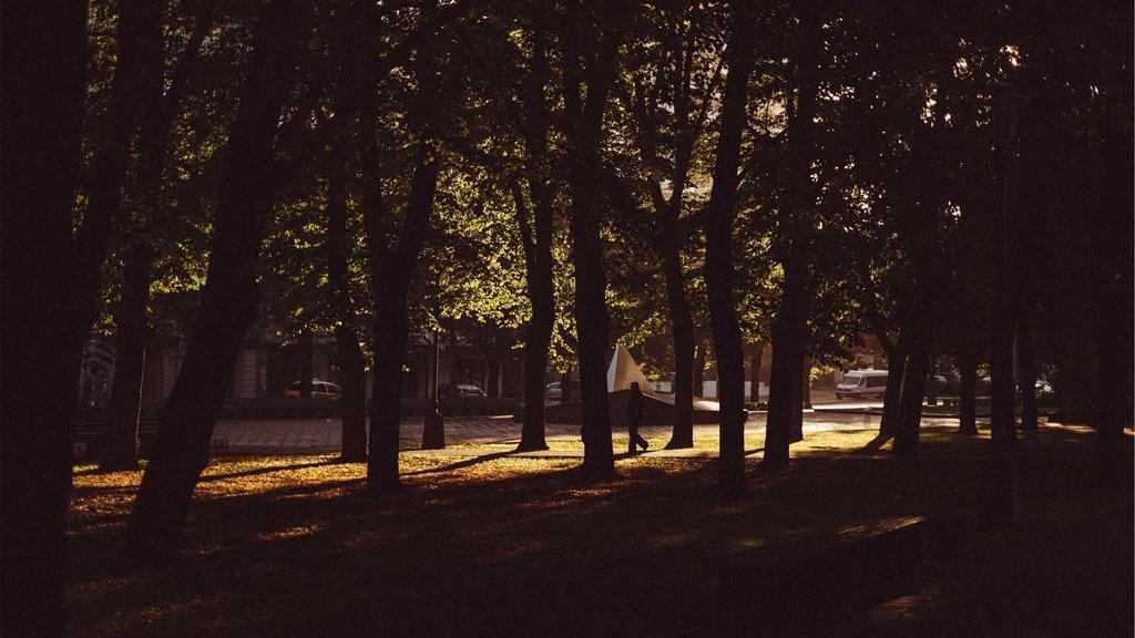 탈모약 보험 적용 시 가격 비교