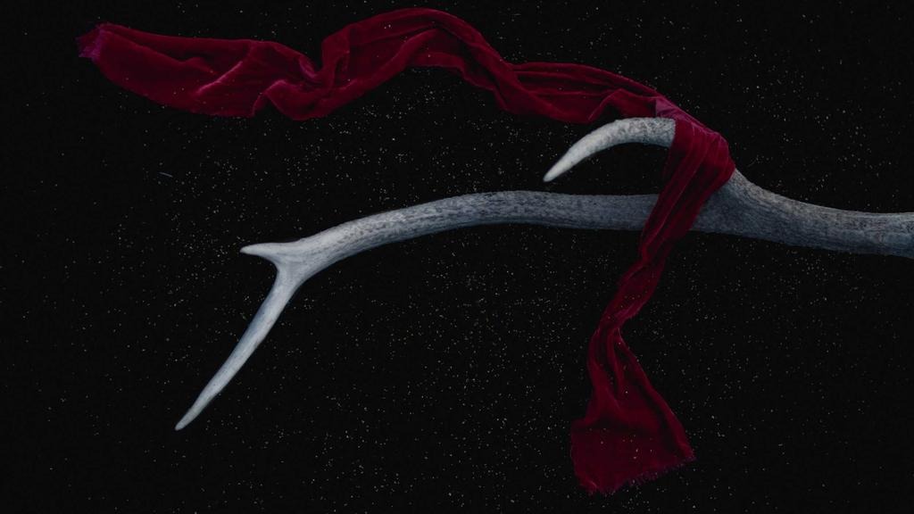 프로페시아 피나스테리드 보험 급여 가격