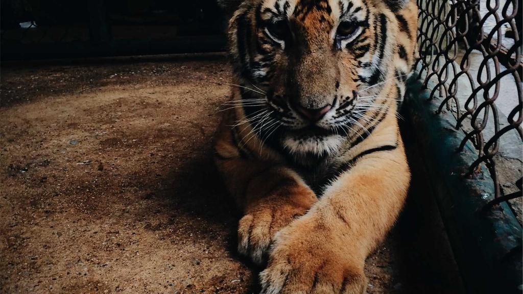 탈모치료 건강보험 적용 시기 2026, 시점별 신청 가이드