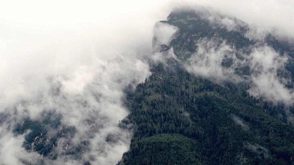 노인돌봄서비스 종류 비교 2026