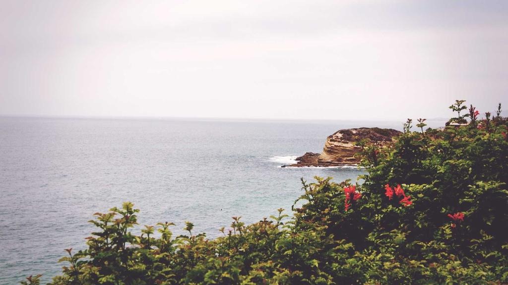 건강보험 진료비 환급 신청방법 2026