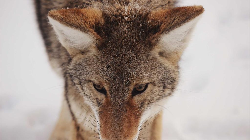 [2026 최신] 건강보험 비급여 항목 조회 방법 완벽 가이드 (2026년 최신)