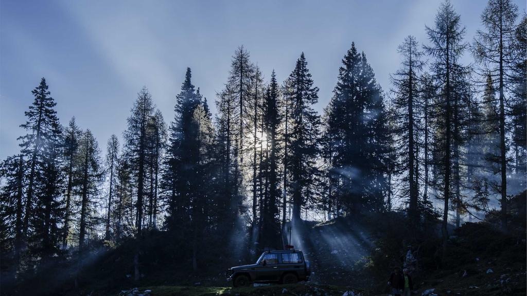 [2026 최신] 비급여 항목 건강보험 전환 확인 방법 완벽 가이드 (2026년)