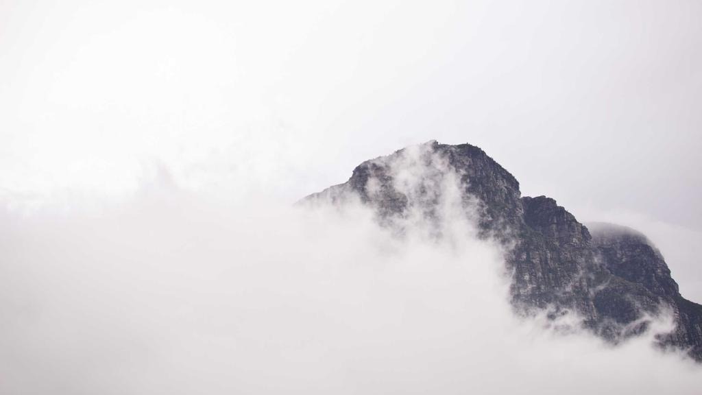 탈모약 보험적용 조건 대상자