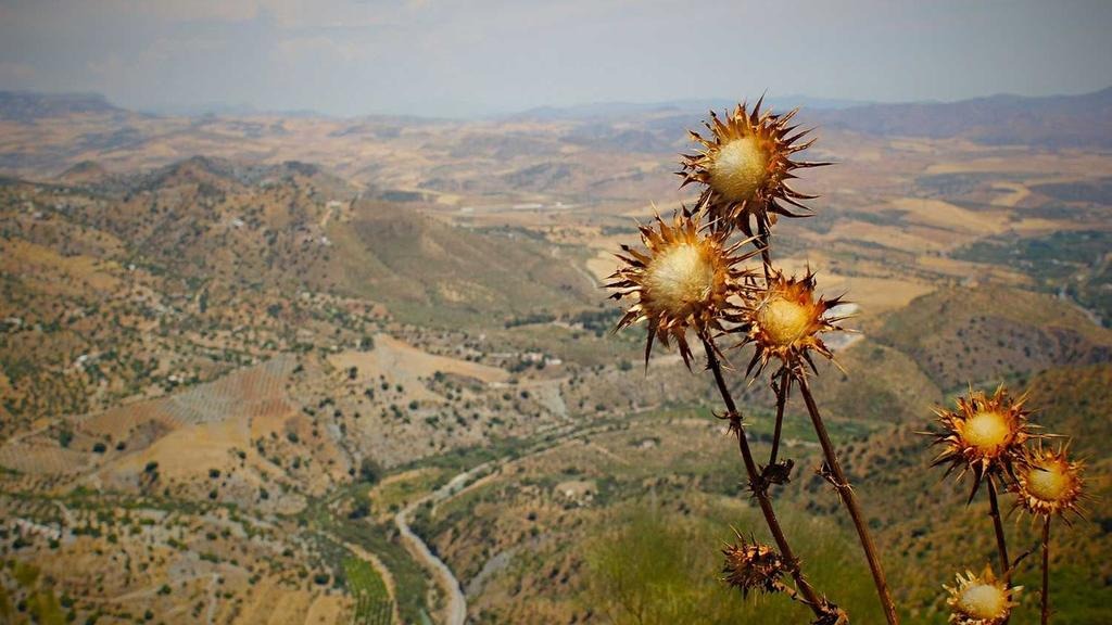 탈모치료 비용 보험 적용 전후 비교