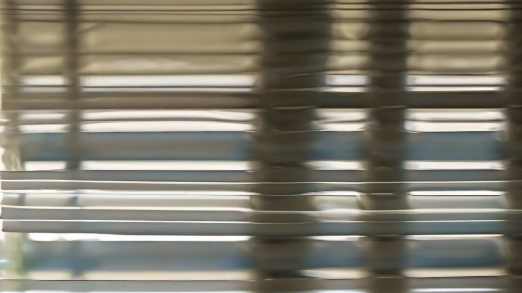 한국의 아늑한 침실에서 낮잠을 자고 있는 하얀색 아기 고양이 '나비'