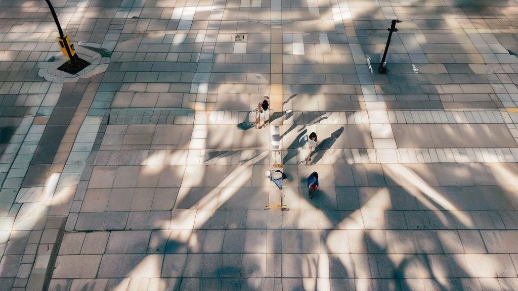 한국인 반려동물 행동 전문가가 강아지의 행동을 관찰하고 기록하는 모습